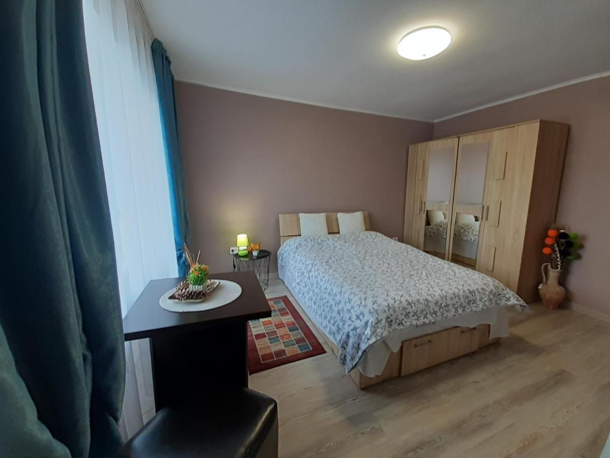 Studio Ultracentral Cu Balcon أونيشتي المظهر الخارجي الصورة